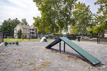 Community dog park